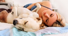 Este bine sa dormi cu cainele in pat? Opinia medicilor
