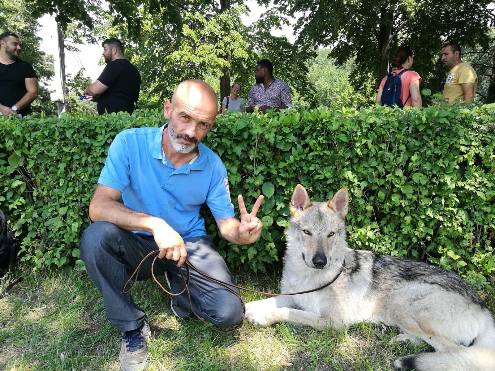 Dresaj Caini Mizil