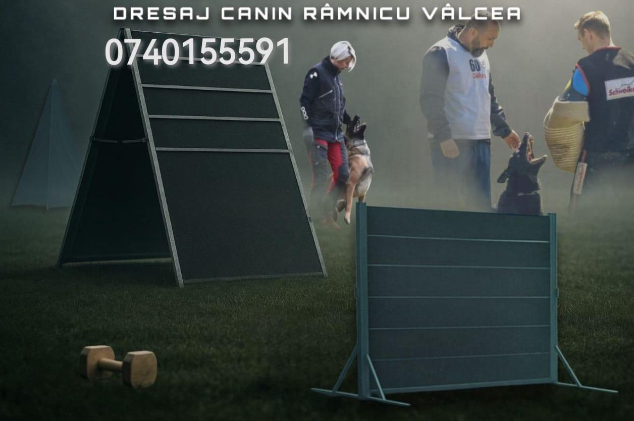 Dresaj Caini Ramnicu Valcea