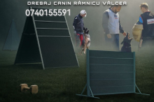 Ramnicu Valcea - Smart Dogs Club Valcea