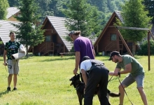Dresaj Caine Targu Mures Dresaj canin Tg Mures - Romulus Toma