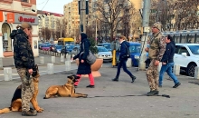Dresaj Caine Berceni Dresaj Canin Berceni - George Laurentiu Bratu