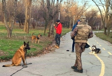 Dresaj Caine Berceni Dresaj Canin Berceni - George Laurentiu Bratu