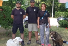 Dresaj Caine Satu Mare Dresaj Canin Satu Mare - DRESAJ JOKER K9