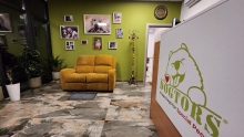 Dresaj Caine Bucuresti-Sector 1 Hotel Dresaj Canin Bucuresti - DOGTORS - By Catalin Cornea & Asociația Magidream