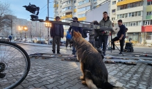 Dresaj Caine Bucuresti-Sector 1 Hotel Dresaj Canin Bucuresti - DOGTORS - By Catalin Cornea & Asociația Magidream