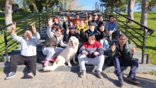 Dresaj Caine Bucuresti-Sector 1 Hotel Dresaj Canin Bucuresti - DOGTORS - By Catalin Cornea & Asociația Magidream