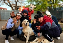 Dresaj Caine Bucuresti-Sector 1 Hotel Dresaj Canin Bucuresti - DOGTORS - By Catalin Cornea & Asociația Magidream