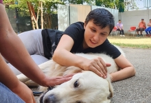 Fotografia 8 — Hotel Dresaj Canin Ilfov - DOGTORS - By Asociația Magidream