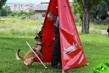 Dresaj Caine Poiana Brasov Dresaj Canin Poiana Brasov - SMART DOGS