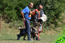 Dresaj Caine Poiana Brasov Dresaj Canin Poiana Brasov - SMART DOGS