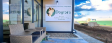 Dresaj Caine Bucuresti-Sector 3 Hotel Dresaj Canin Ilfov - DOGTORS - By Asociația Magidream