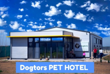 Dresaj Caine Bucuresti-Sector 1 Hotel Dresaj Canin Bucuresti - DOGTORS - By Asociația Magidream