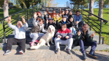 Dresaj Caine Bucuresti-Sector 3 Hotel Dresaj Canin Ilfov - DOGTORS - By Asociația Magidream