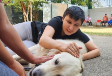 Dresaj Caine Bucuresti-Sector 1 Hotel Dresaj Canin Bucuresti - DOGTORS - By Asociația Magidream