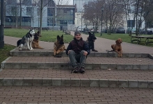 Dresaj Caine Bistrita Dresaj Canin Bistrita