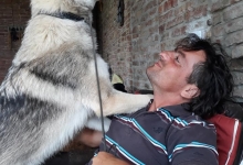 Dresaj Caine Bistrita Dresaj Canin Bistrita