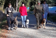 Dresaj Caine Bistrita Dresaj Canin Bistrita
