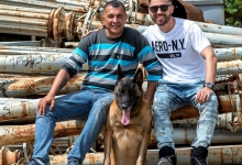 Dresaj Caine Bucuresti-Sector 4 Dresaj canin Bucuresti Sector 4 - George Laurentiu Bratu