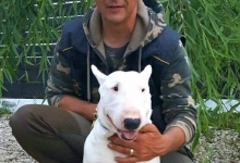 Dresaj Caine Bucuresti-Sector 4 Dresaj canin Bucuresti Sector 4 - George Laurentiu Bratu
