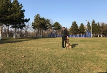 Dresaj Caine Bucuresti-Sector 4 Dresaj canin Bucuresti Sector 4 - George Laurentiu Bratu
