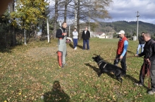 Dresaj Caine Adjud Smart Dogs Club Adjud