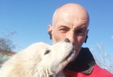 Dresaj Caine Breaza Smart Dogs Club Breaza