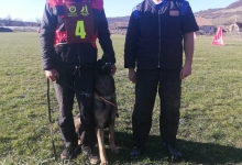 Dresaj Caine Corbeanca Smart Dogs Club Corbeanca