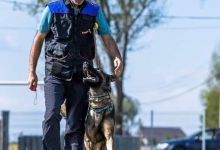 Dresaj Caine Mizil Smart Dogs Club Mizil