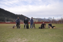Dresaj Caine Bicaz Smart Dogs Club Neamt
