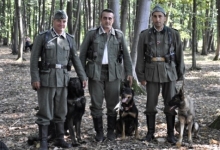 Dresaj Caine Rasnov Dresaj Canin Rasnov - Smart Dogs Club 