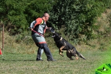 Dresaj Caine Rasnov Dresaj Canin Rasnov - Smart Dogs Club 