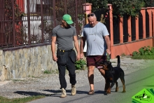 Dresaj Caine Rasnov Dresaj Canin Rasnov - Smart Dogs Club 