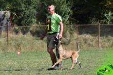 Dresaj Caine Rasnov Dresaj Canin Rasnov - Smart Dogs Club 