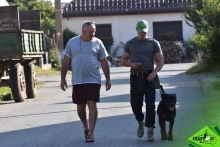 Dresaj Caine Rasnov Dresaj Canin Rasnov - Smart Dogs Club 