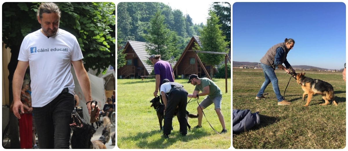 dresaj canin targu mures